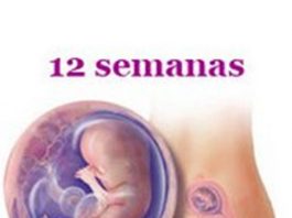 Grávida de 12 semanas - o 3º mês da gestação