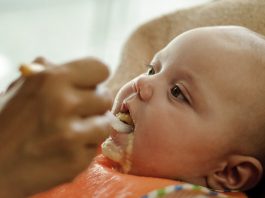 As primeiras papas para o seu bebé