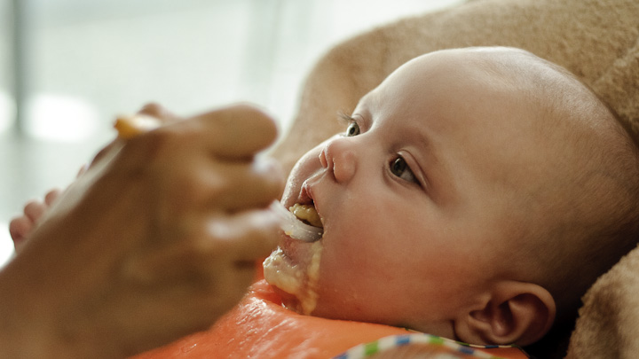 As Primeiras Papas Para O Seu Bebe Mulher Portuguesa