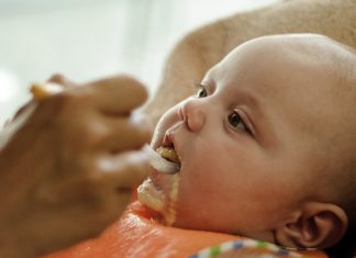 As primeiras papas para o seu bebé