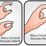 Muco cervical