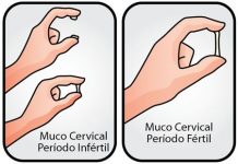 Muco cervical