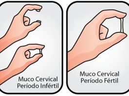 Muco cervical