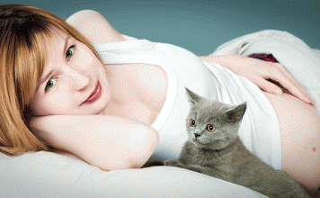 Toxoplasmose na gravidez
