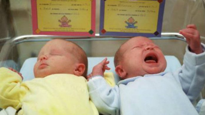 Gravidez de gémeos: os gémeos verdadeiros e os falsos