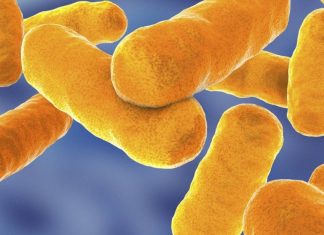 Meningite bacteriana