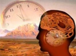 Relógio biológico do homem