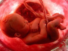 Como evoluem os 5 sentidos do bebé durante a gravidez