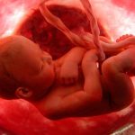 Como evoluem os 5 sentidos do bebé durante a gravidez