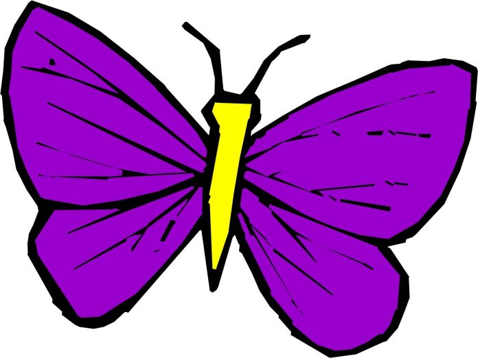 História da borboleta violeta