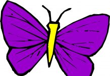 História da borboleta violeta