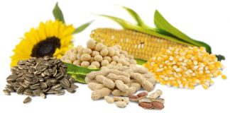 Gorduras vegetais