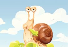 O caracol e a roseira