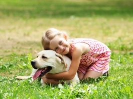 A importância dos animais de estimação para a criança