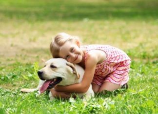 A importância dos animais de estimação para a criança A importância dos animais de estimação para a criança