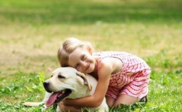 A importância dos animais de estimação para a criança