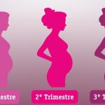 Conheça a magia de cada trimestre de gravidez