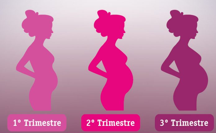 Conheça a magia de cada trimestre de gravidez