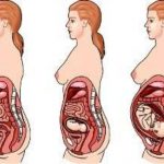 Como muda o corpo da mãe durante a gravidez