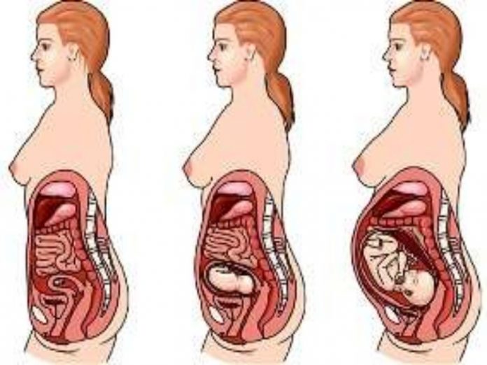 Como muda o corpo da mãe durante a gravidez