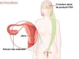 Estrogénio