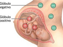 Incompatibilidade sanguínea durante a gravidez