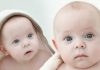 Ser pais de bebés gémeos Ser pais de bebés gémeos