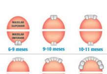 O meu filho tem febre por causa dos dentinhos?