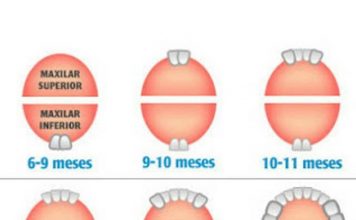 O meu filho tem febre por causa dos dentinhos?