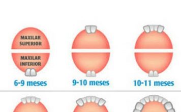 O meu filho tem febre por causa dos dentinhos?