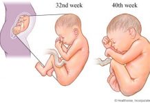 O 3º trimestre do desenvolvimento fetal